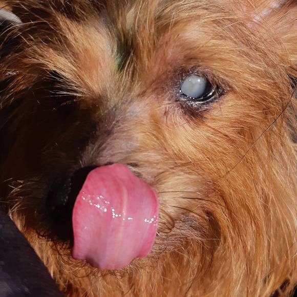 Meet your Posher, Diane - Picture 1 of 1